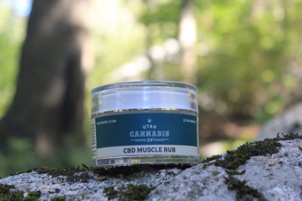 CBD Muscle Rub - Image 4