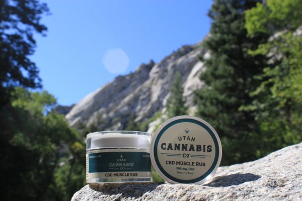 CBD Muscle Rub - Image 3