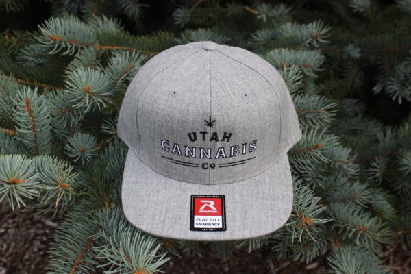 Grey Hat - Image 4